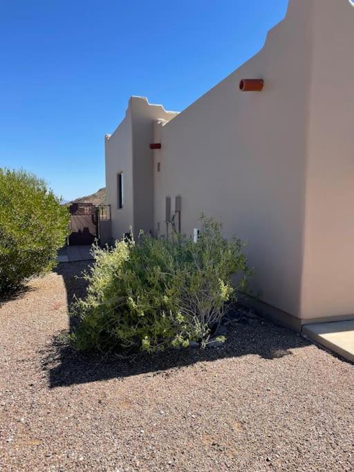Tucson Mnt Foothills Saguaro Bliss Villa Exteriör bild
