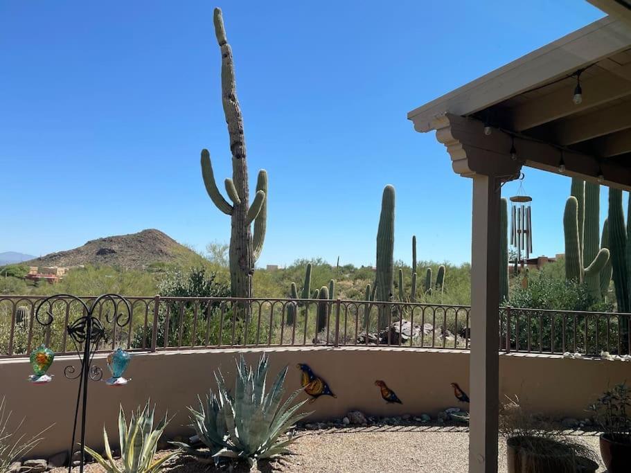 Tucson Mnt Foothills Saguaro Bliss Villa Exteriör bild