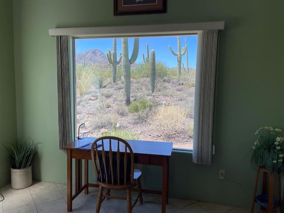 Tucson Mnt Foothills Saguaro Bliss Villa Exteriör bild