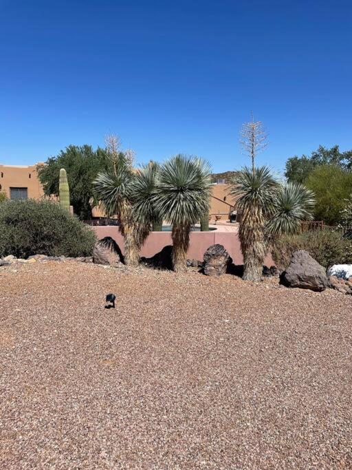 Tucson Mnt Foothills Saguaro Bliss Villa Exteriör bild