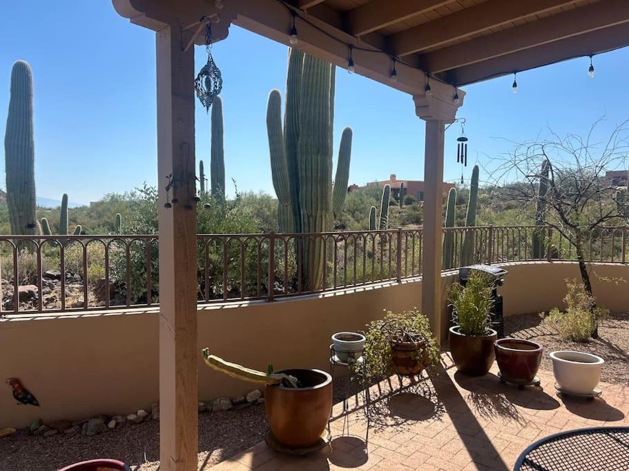 Tucson Mnt Foothills Saguaro Bliss Villa Exteriör bild